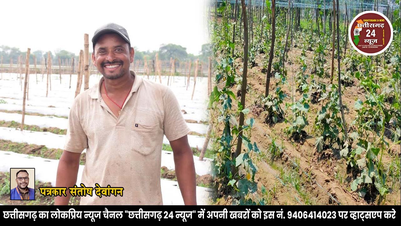 कम पानी, अधिक मुनाफा धान छोड़ उद्यानिकी फसलों की ओर बढ़े किसान तामेश्वर
