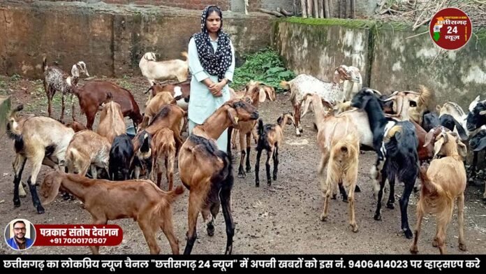 बकरी पालन से बनी 
