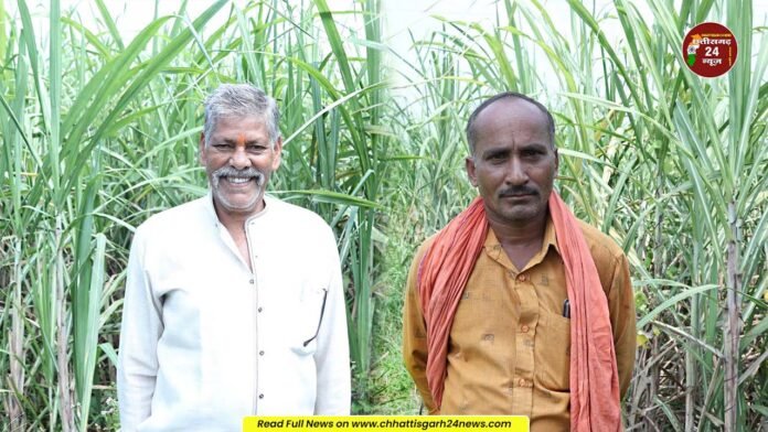 बालोद-गन्ना खरीदी मूल्य में बढ़ोतरी से किसानों के चेहरे पर खिली मीठी मुस्कान
