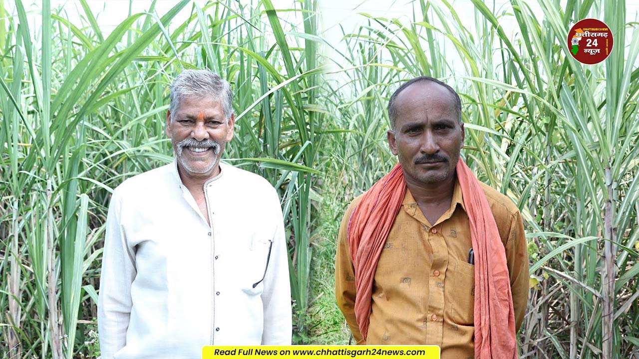 बालोद-गन्ना खरीदी मूल्य में बढ़ोतरी से किसानों के चेहरे पर खिली मीठी मुस्कान