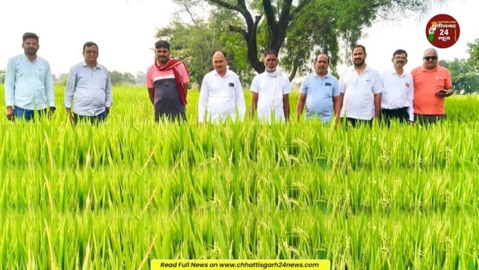 धान बीज की गुणवत्ता पर उठे सवालों ने लिया नया मोड़, किसान ने मानी अपनी गलती