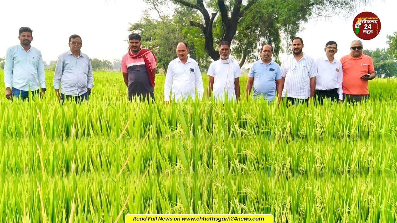 धान बीज की गुणवत्ता पर उठे सवालों ने लिया नया मोड़, किसान ने मानी अपनी गलती