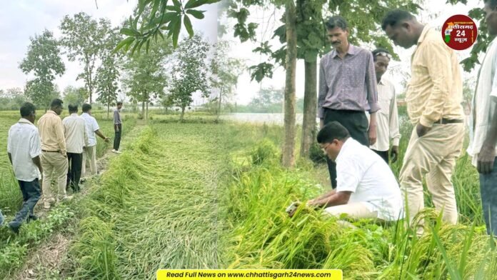 तूफान से फसल बर्बाद और पटवारी हड़ताल पर, भगवान भरोसे छत्तीसगढ़ का किसान: राकेश ठाकुर