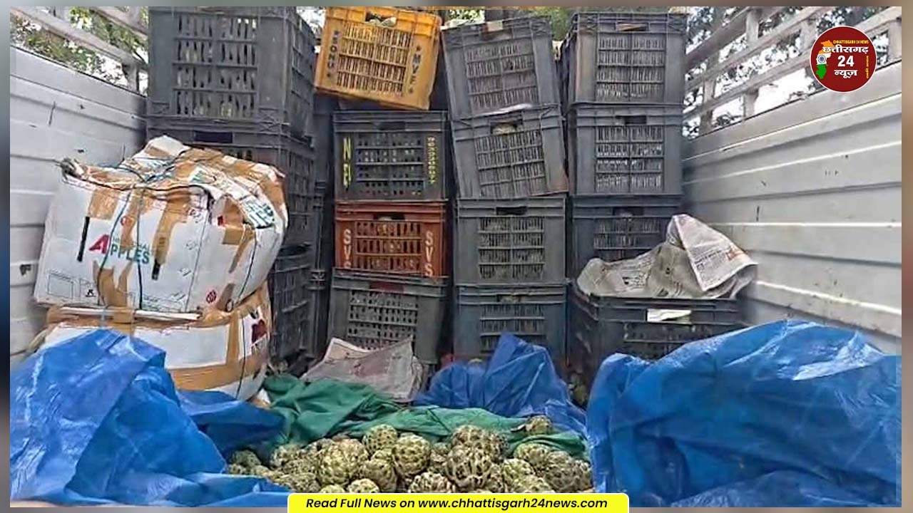 गरियाबंद। देवभोग में सीताफल की तस्करी, पिकअप से 48 कैरेट सीताफल जब्त 